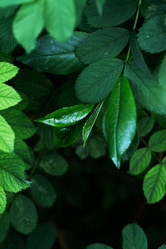 Similar image 21382858