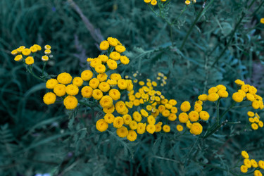 Similar image 21382859