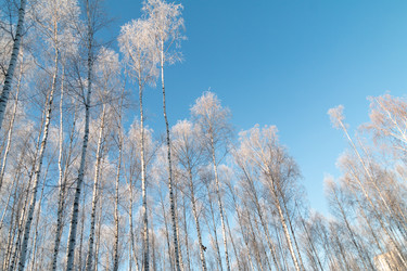 Similar image 21399401