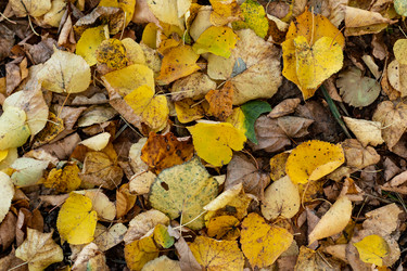 Similar image 21422004