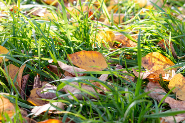 Similar image 21399403