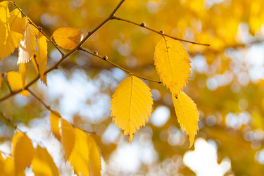 Similar image 21399404