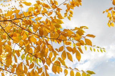 Similar image 21422005