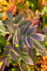 Similar image 21399405