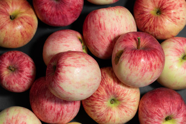 Similar image 21385328