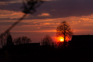 Similar image 21385951