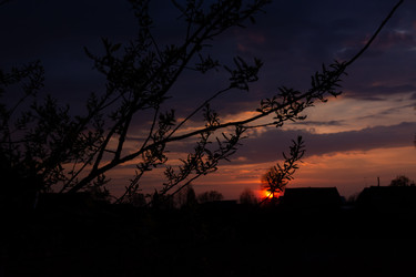 Similar image 21385952