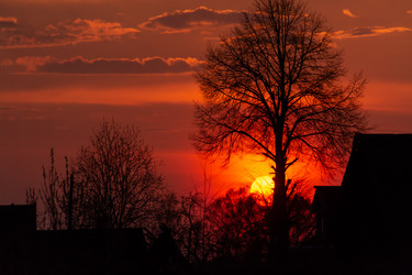 Similar image 21385953