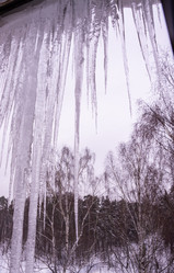 Similar image 21385955