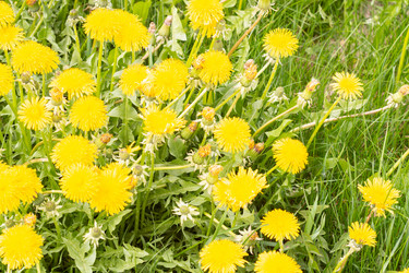 Similar image 21385960