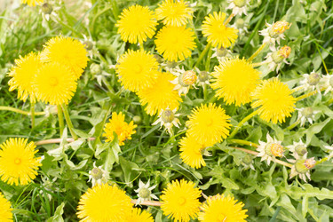 Similar image 21385961