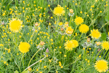 Similar image 21385969