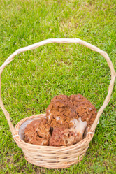 Similar image 21385971