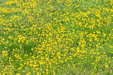 Similar image 21385972