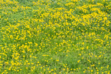 Similar image 21385974