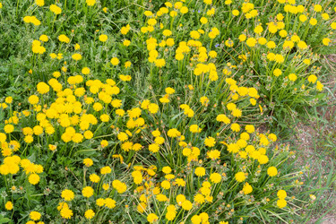 Similar image 21386085