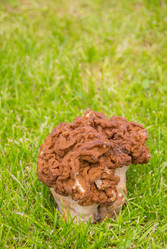 Similar image 21386086