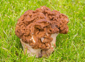 Similar image 21386088