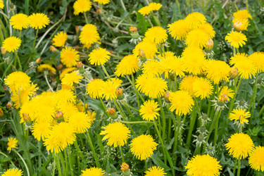 Similar image 21386089