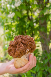 Similar image 21386090