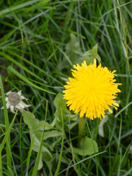 Similar image 21386091