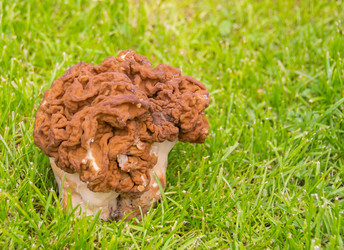 Similar image 21386092