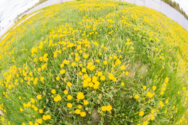 Similar image 21386093