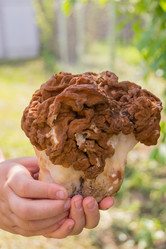 Similar image 21386096