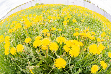 Similar image 21386097