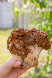 Similar image 21386098