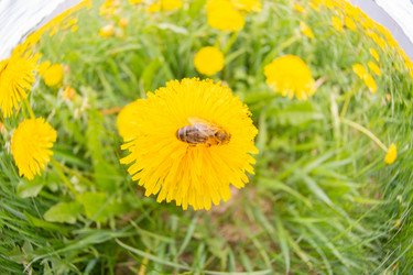 Similar image 21386099