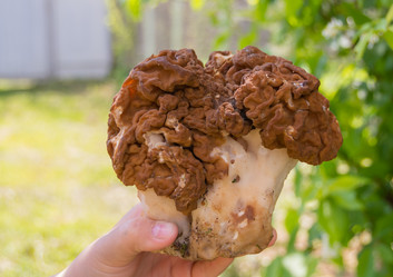 Similar image 21386101