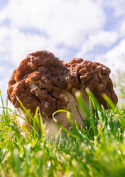 Similar image 21386102