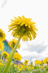 Similar image 21386104