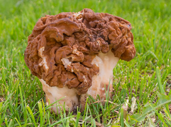 Similar image 21386105