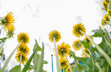 Similar image 21386106