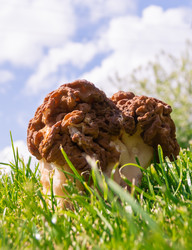 Similar image 21386219