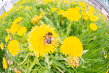 Similar image 21386220