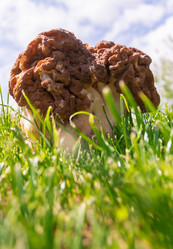 Similar image 21386221