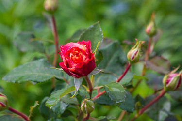 Similar image 21386222