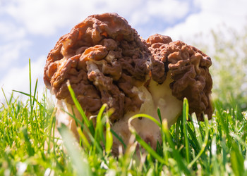 Similar image 21386224