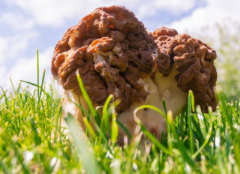 Similar image 21386225