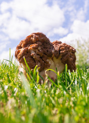 Similar image 21386227