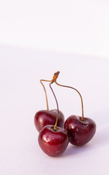 Similar image 21386239