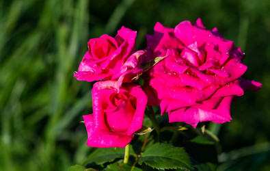 Similar image 21386246