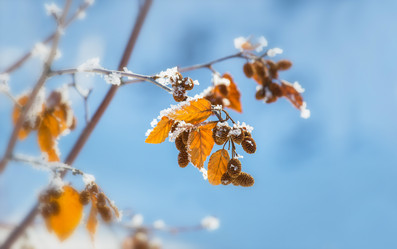 Similar image 21383457