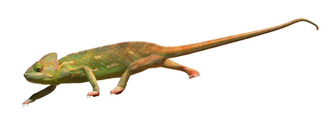 Similar image 21383458