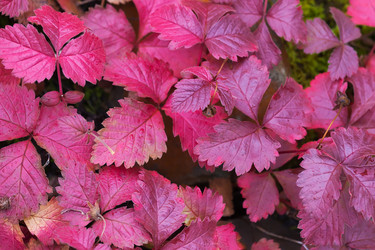 Similar image 21383463