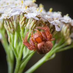 Similar image 21383469