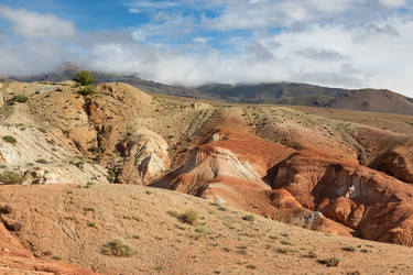 Similar image 21383477